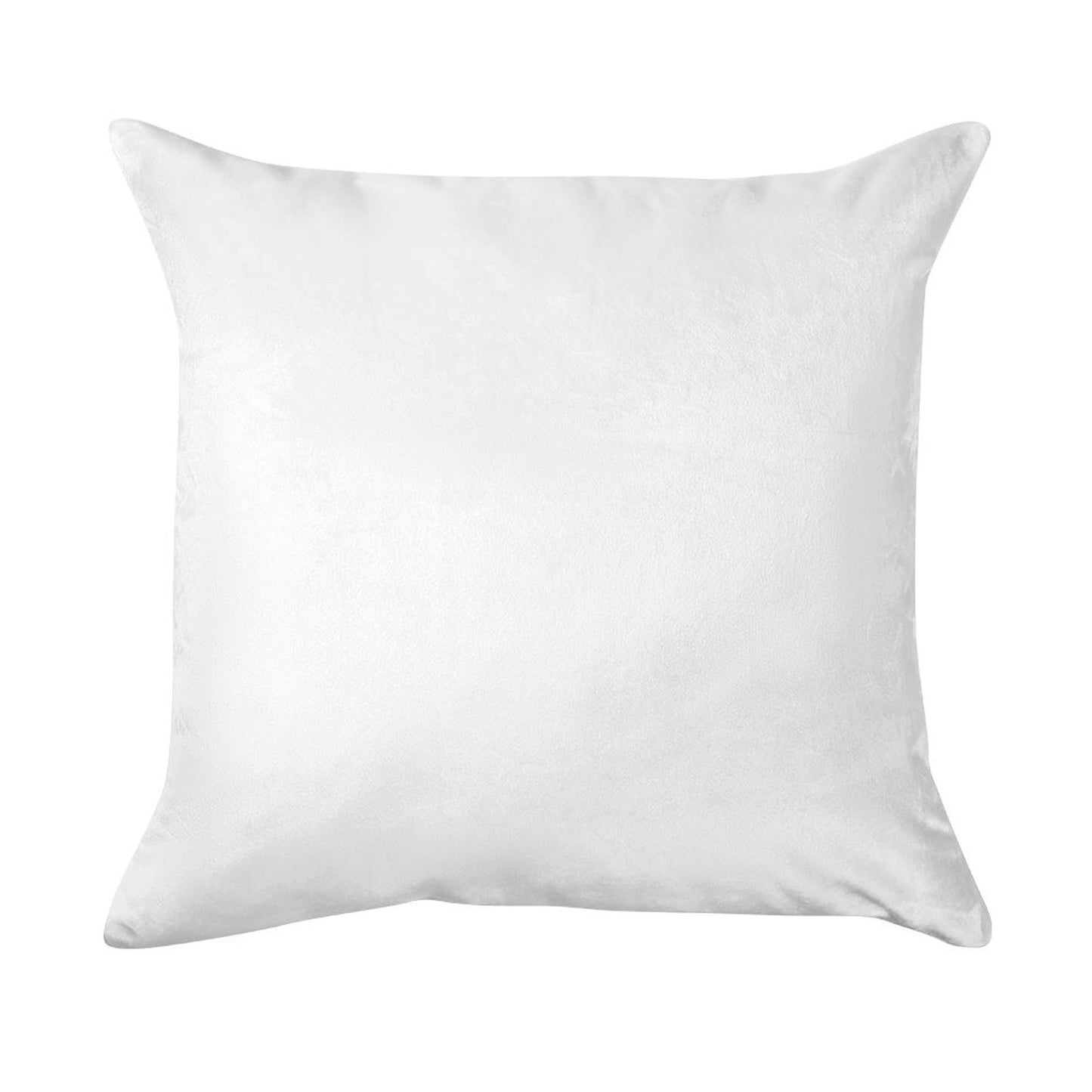 Cushion Case